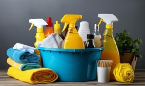 Temizlik & Hijyen Sarf Malzemeleri